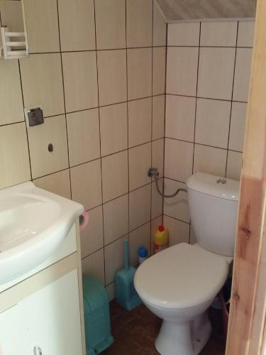a small bathroom with a toilet and a sink at Apartament Buczyna in Brenna
