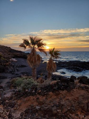 Apartamento ANANAS Golf del Sur