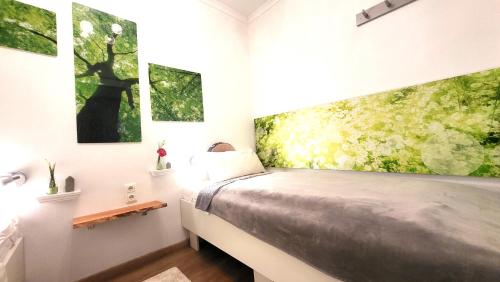 1 dormitorio con 1 cama y pinturas en la pared en Ferienwohnung Abenddämmerung Hahnenklee, en Hahnenklee-Bockswiese
