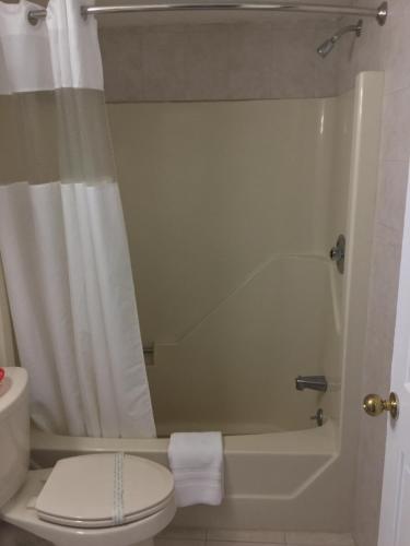 a bathroom with a toilet and a shower with a shower curtain at Red Carpet Inn-Bridgeton/Vineland in Bridgeton