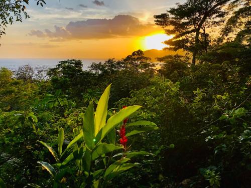 Un paisaje natural cerca de la habitación en casa particular