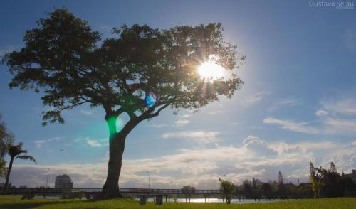 Un árbol en un parque con el sol detrás. en Apartamento aluguel temporada Torres-RS en Torres