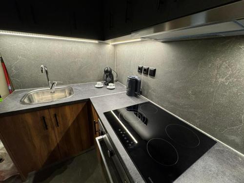 Una pequeña cocina con fregadero y estufa. en SALOMI LUXURY SUITES, en Ioannina