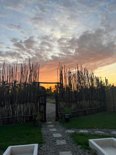 Dharma Glamping – Photos 4