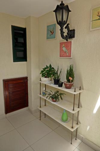 a room with a shelf with plants and a light at CANTO DA ARVORE 1 in Arraial do Cabo
