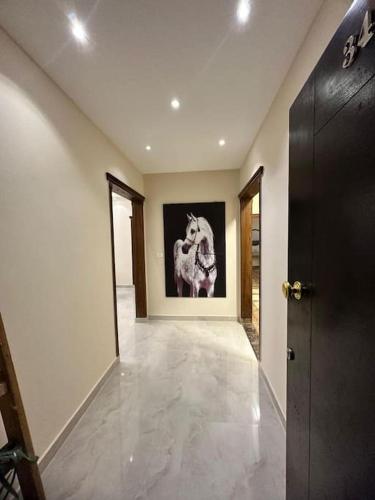 Classic apartment