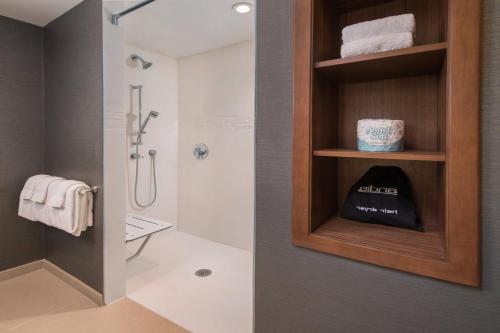 een badkamer met een douche en een glazen deur bij Residence Inn by Marriott Baltimore at The Johns Hopkins Medical Campus in Baltimore