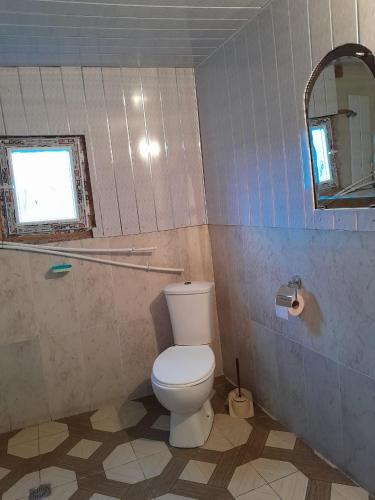 Shuakhevi的住宿－Guest House Dedeshvilebi，浴室设有白色的卫生间和镜子