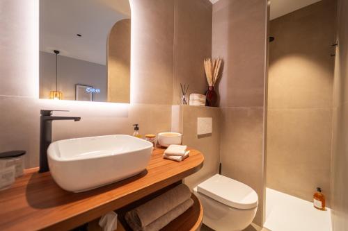 uma casa de banho com um lavatório, um WC e um chuveiro em LE NID, superbe chambre d'hôtes em Mauves-sur-Loire