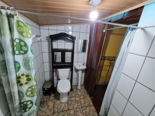 a small bathroom with a toilet and a sink at Hostel Yinary in Drake
