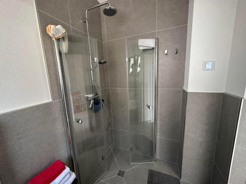 a shower with a glass door in a bathroom at Ferienwohnung Varuswald in Tholey