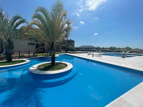 a swimming pool with a palm tree in the middle at Hermoso departamento en Yerba Buena in San Miguel de Tucumán