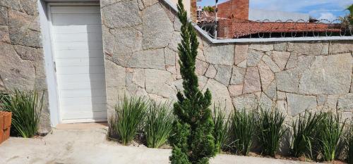 a pine tree in front of a stone wall at Loft completo com area de lazer piscina e churrsqueira in Natal