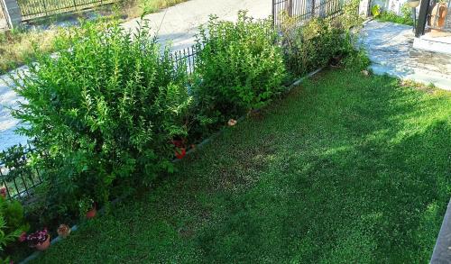 a garden with green bushes and a fence at Pavlos House in Asfáka
