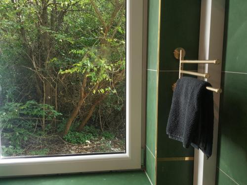 - une serviette suspendue à une fenêtre dans la salle de bains dans l'établissement APARTAMENTY ZIELONY KAMELEON, à Busko-Zdrój