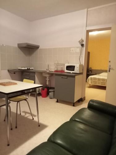 a kitchen with a table and a microwave in a room at Hôtel Restaurant de la Gare (Studios Du Breuil) in La Roche-Posay