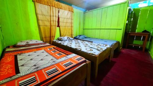 2 camas en una habitación con paredes verdes en ARAPARI AMAZON LODGE, en Mazán