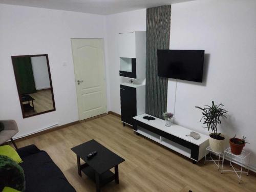 a living room with a couch and a tv on the wall at Olive Apartment in Lupeni