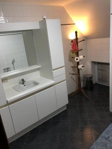 Chapelle-lez-Herlaimont的住宿－Ferme D’Herlaimont，一间带水槽和镜子的浴室
