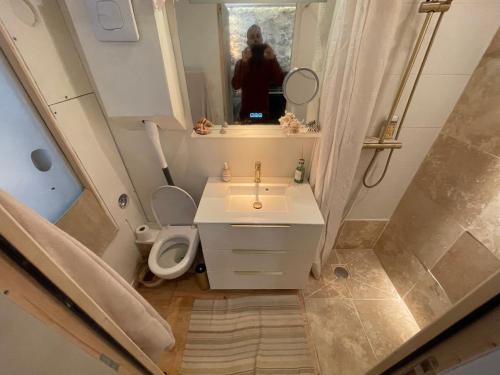 une salle de bain avec un lavabo, des toilettes et un miroir dans l'établissement Chambres Studio Eleusis-Paris, à Paris