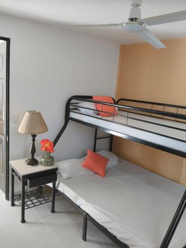 Cabinas Libélula – Photos 3