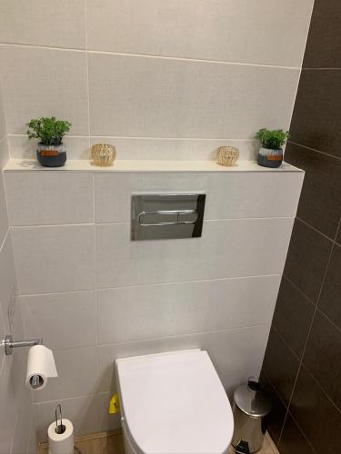 a bathroom with a toilet and two plants on a shelf at Habitación doble con baño privado en Barcelona in Barcelona