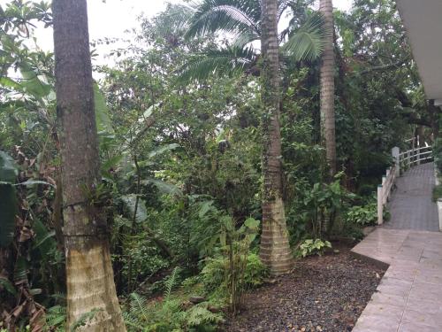 a path through a garden with palm trees and plants at Hotel Pousada Reimar in Balneário Camboriú