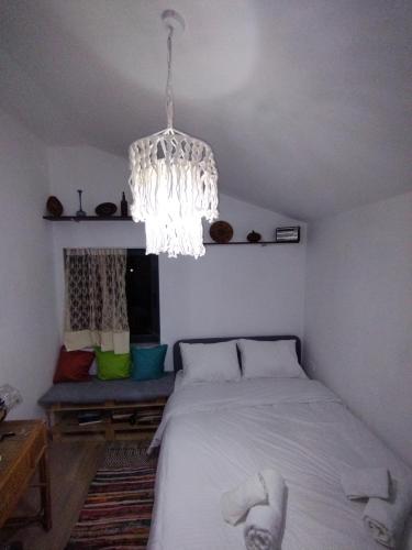 Illyrian studio Tirana - Imazhi 2