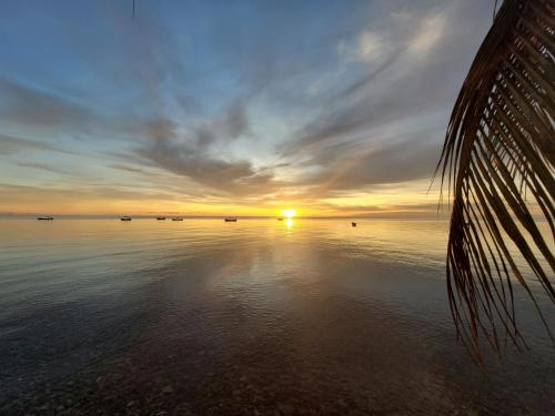 a sunset over a body of water with the sun setting at HOTEL POSADA DEL MAR in Providencia