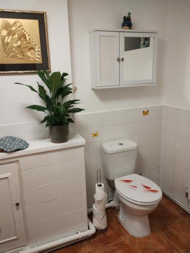 a bathroom with a toilet and a potted plant at Cwtch Cottage in Rhondda