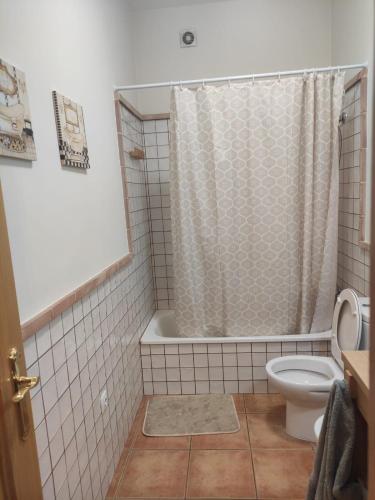 a bathroom with a toilet and a shower curtain at Apartamento rural Dúplex del monte in Cazalla de la Sierra