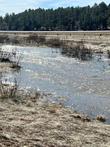 a river with snow on it in a field at Mountain Escape, w/Fireplace! in Show Low