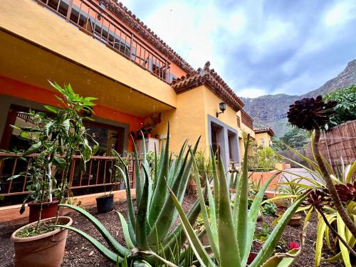a house with a bunch of plants in front of it at Calma Suite in Agulo