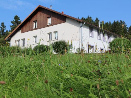 Gîte à Gérardmer - Proche lac et pistes, Chem cheminée, 2 chambres