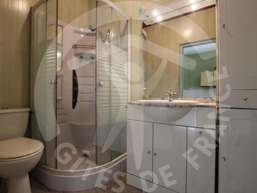 a bathroom with a shower and a toilet and a sink at Gîte Solignac-sur-Loire, 4 pièces, 6 personnes - FR-1-582-116 in Solignac-sur-Loire