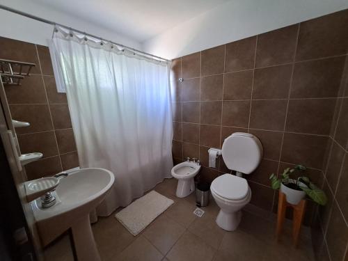 a bathroom with a toilet and a sink and a shower at Ventanas de la Patagonia 3 in Esquel