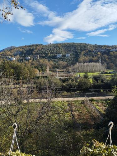 a field with a hill in the background at Petalo Rosso b&b in Lenola
