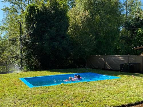 Swimmingpoolen hos eller tæt på Pucon Villarrica Aldea Molco