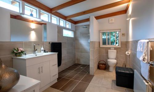 a bathroom with a toilet and a sink at Wanderers Cottage in Woodbridge