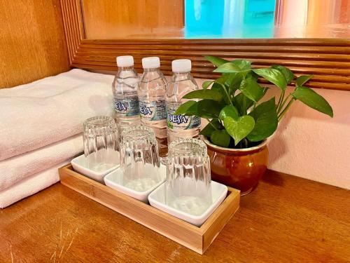 a tray with bottles of water and a potted plant at Heng Ann Guest House in Melaka