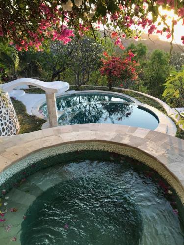 a plunge pool in a garden with a fountain at Villa cocodome in Teluk Nara