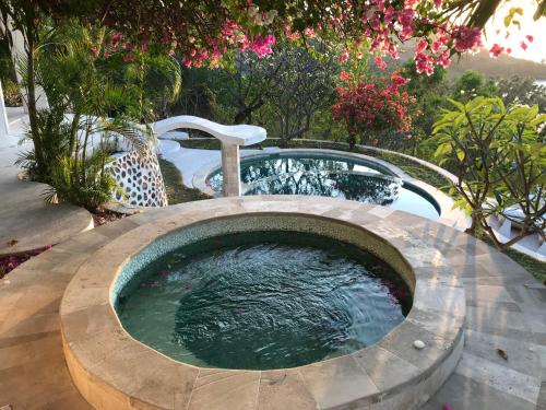 a plunge pool in a garden with a fountain at Villa cocodome in Teluk Nara