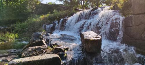 a waterfall with a tree stump in the water at Klaraborg - Rum och kök i Borgvik in Borgvik