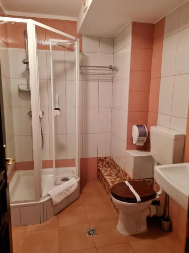 a bathroom with a shower and a toilet and a sink at Pensiunea Mai in Păltiniş