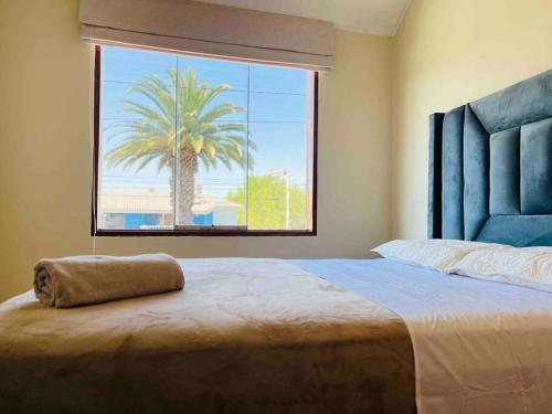 a bedroom with a palm tree outside a window at Hermosa Casa completa en Arequipa 