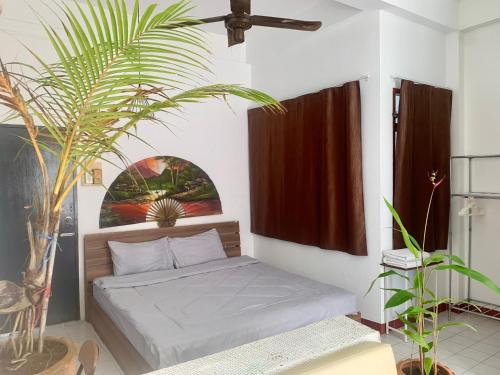 1 dormitorio con cama y planta en Green Dreams, en Ban Lo Long