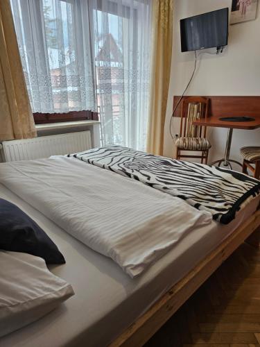 a bed in a room with a television and a window at Hostel Wielka Krokiew in Zakopane