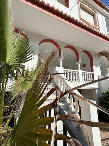 a stairway of a house with a palm tree at Paraíso Mediterráneo in Sueca