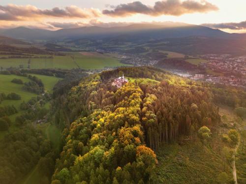 an aerial view of a forest of trees with a house at Hotel Křížový vrch in Jeseník