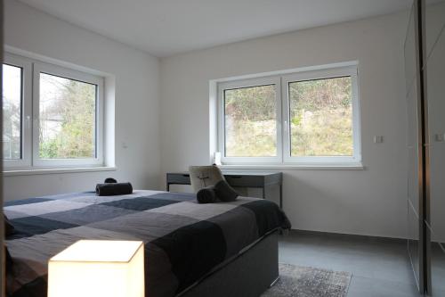 1 Schlafzimmer mit einem großen Bett und 2 Fenstern in der Unterkunft Große Stadtvilla mit Whirlpool in Otterberg